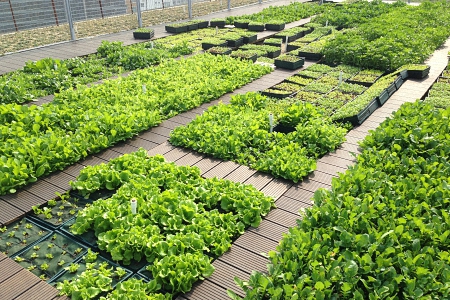 Roof Garden of Vanke Headquarters  exterior 
